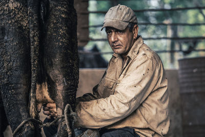 Portrait of man working with cows in a stable 