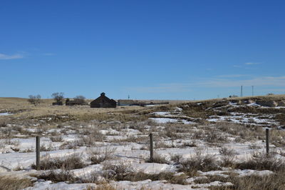 View of field against blue sky during winter