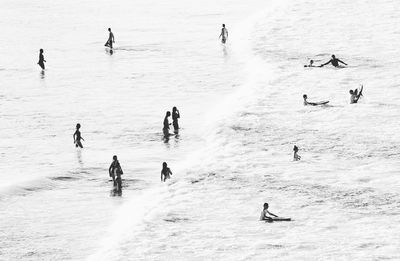 High angle view of tourist on beach