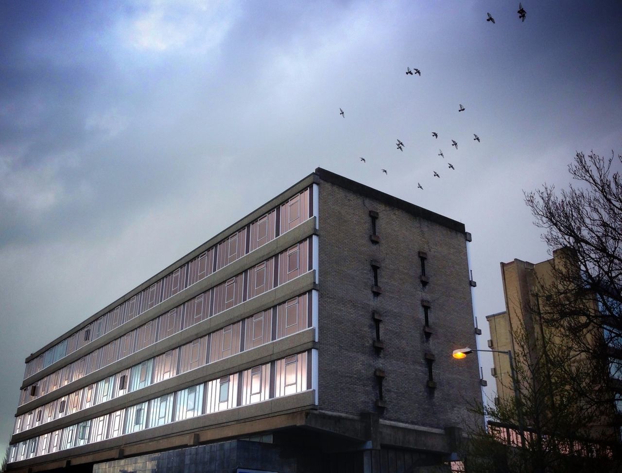 building exterior, architecture, built structure, bird, low angle view, flying, sky, animal themes, animals in the wild, city, building, cloud - sky, wildlife, flock of birds, outdoors, cloud, no people, residential building, day