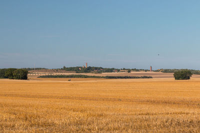 Scenic view of agricultural field against clear sky
