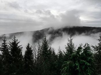 Scenic view of waterfall in forest against sky