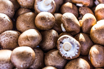 Full frame shot of edible mushrooms