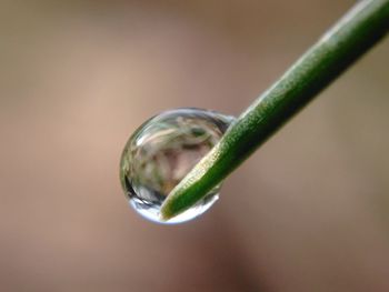 Close-up of water