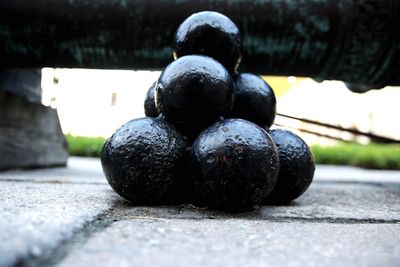 Close-up of black berries on street