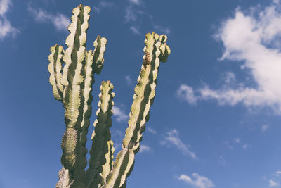 Low angle view of vapor trail against blue sky