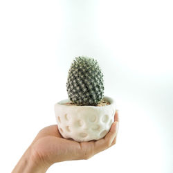 Close-up of hand holding ice cream against white background