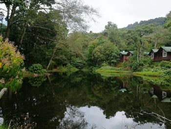 Scenic view of lake by trees against sky