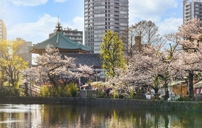 Cherry blossom by river and buildings against sky