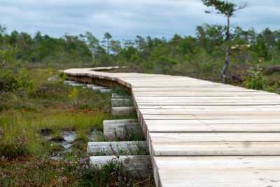 High angle view of wooden boardwalk