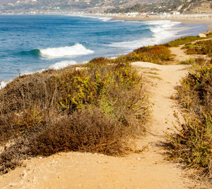 Scenic view of beach