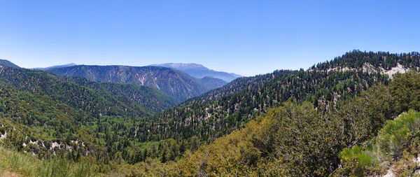 Scenic view of landscape against clear sky