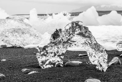 Close-up of ice crystals on beach