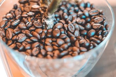 High angle view of coffee beans on table