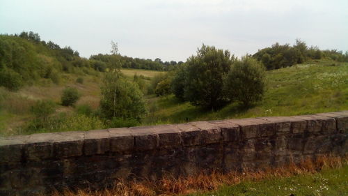 Scenic view of trees on field against sky