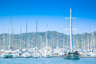 Sailboats moored in sea against blue sky