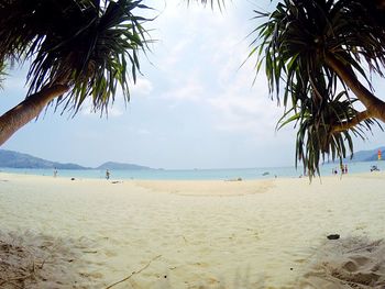 Scenic view of beach against sky