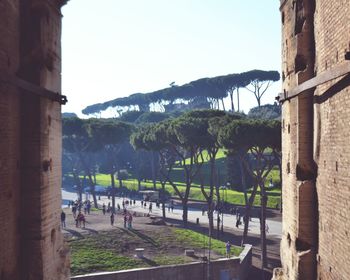 People walking in park