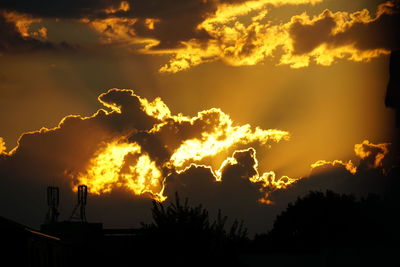 Low angle view of silhouette trees against sky at sunset