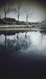 Reflection of trees in lake