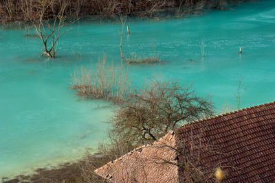 Scenic view of lake