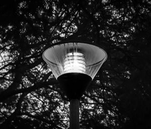 Low angle view of illuminated street light against trees