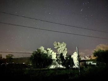 Low angle view of trees and houses against sky