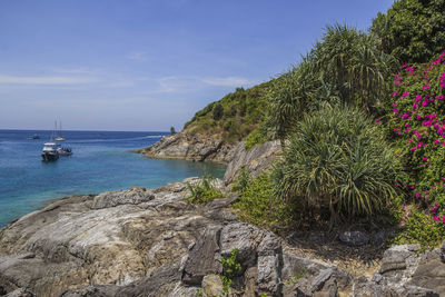 Scenic view of sea against sky