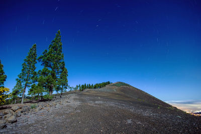 Scenic view of trees against clear blue sky at night