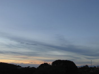 Low angle view of silhouette trees against sky at night