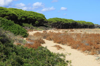 Scenic view of land against sky