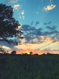 Silhouette trees on field against sky at sunset