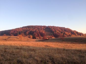 Scenic view of landscape against clear sky