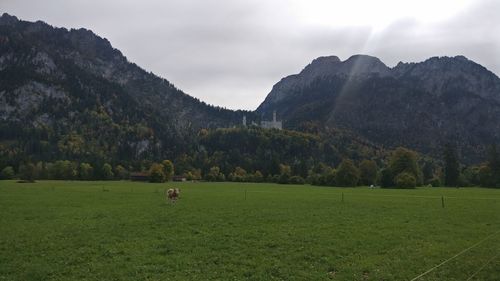 Scenic view of field and mountains against sky