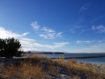 Scenic view of landscape against blue sky