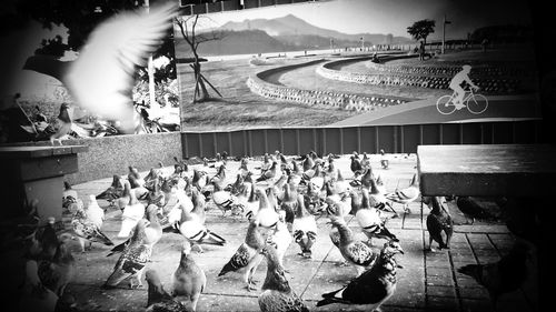 People at market stall