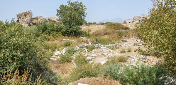 Scenic view of land against sky