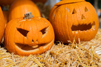 Jack o lantern on field