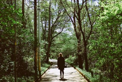 Rear view of woman walking amidst trees