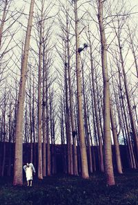 Mid distance view of woman with costume wings standing by bare trees in forest