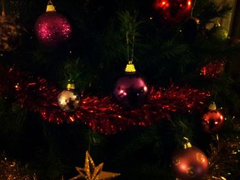 Low angle view of illuminated christmas tree at night