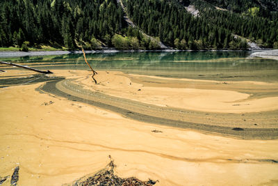 Scenic view of lake by trees in forest