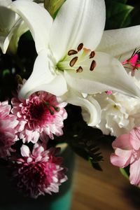 Close-up of white flowers