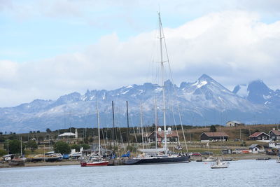 Sailboats moored at harbor against sky