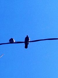 Low angle view of lamp post against clear blue sky