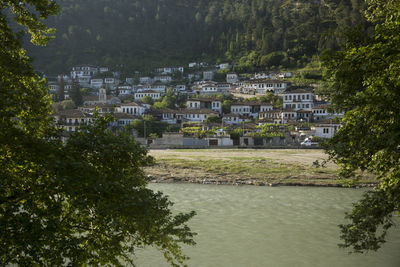 River amidst trees and buildings in city