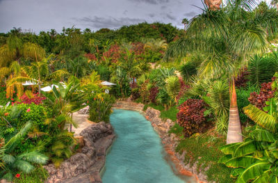 Scenic view of swimming pool by trees against sky