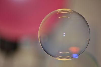 Close-up of bubbles against blurred background