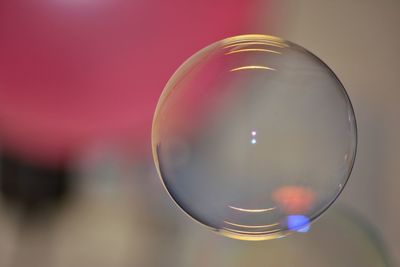 Close-up of bubbles against blurred background