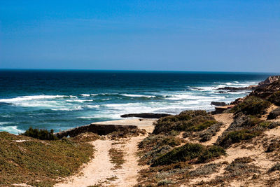 Scenic view of beach against clear sky